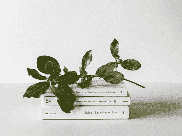 一键清理垃圾的手机号测压网页